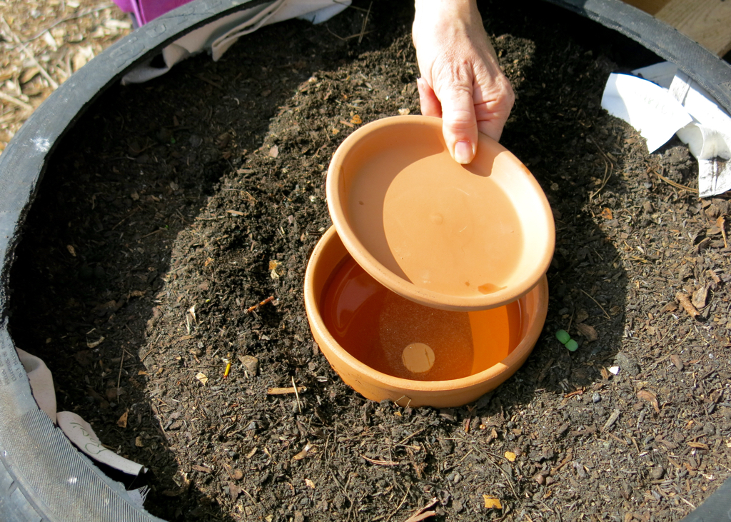 Putting a lid on the buried clay pot