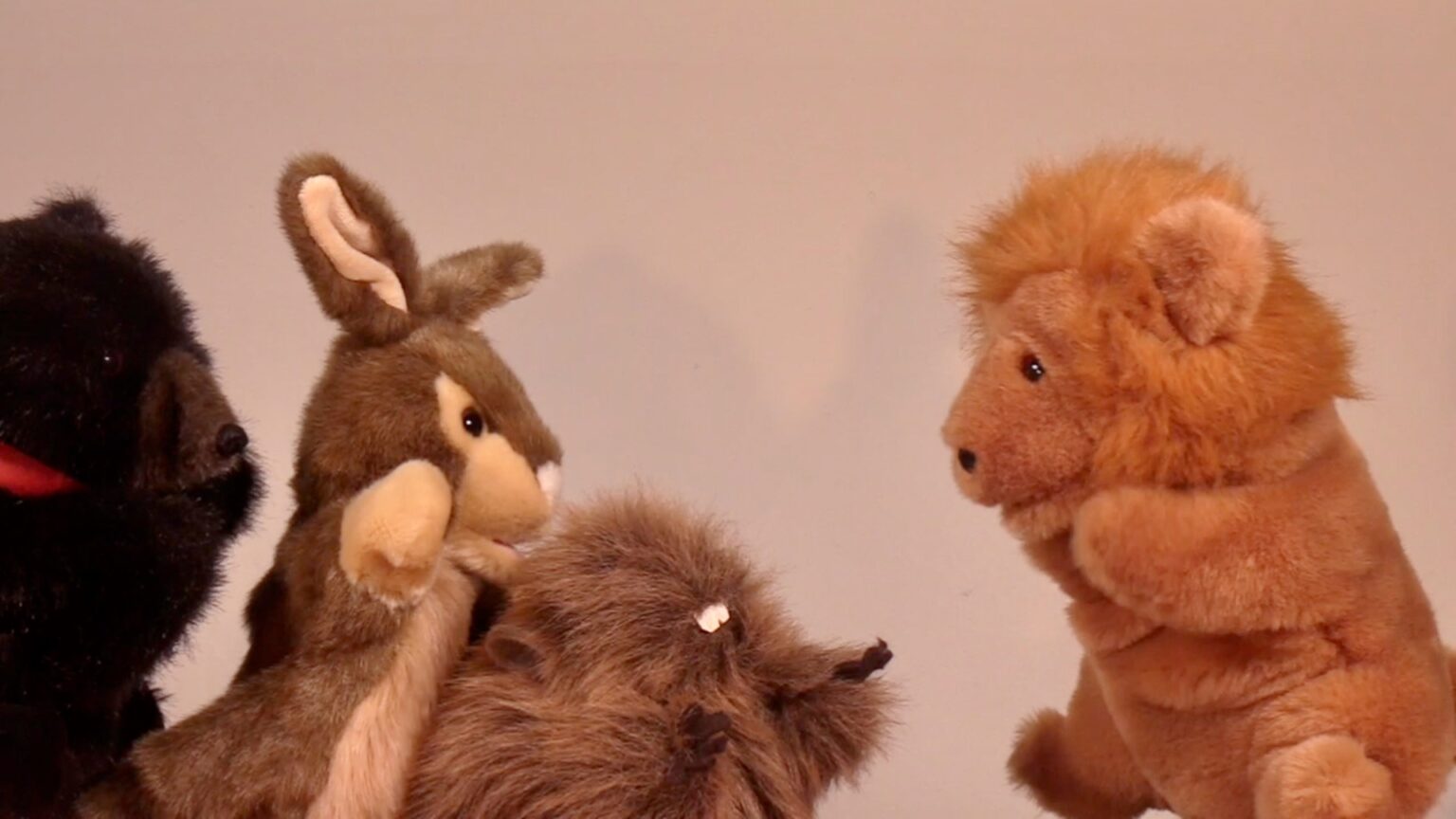 The Timid Rabbit Yet Another Unitarian Universalist