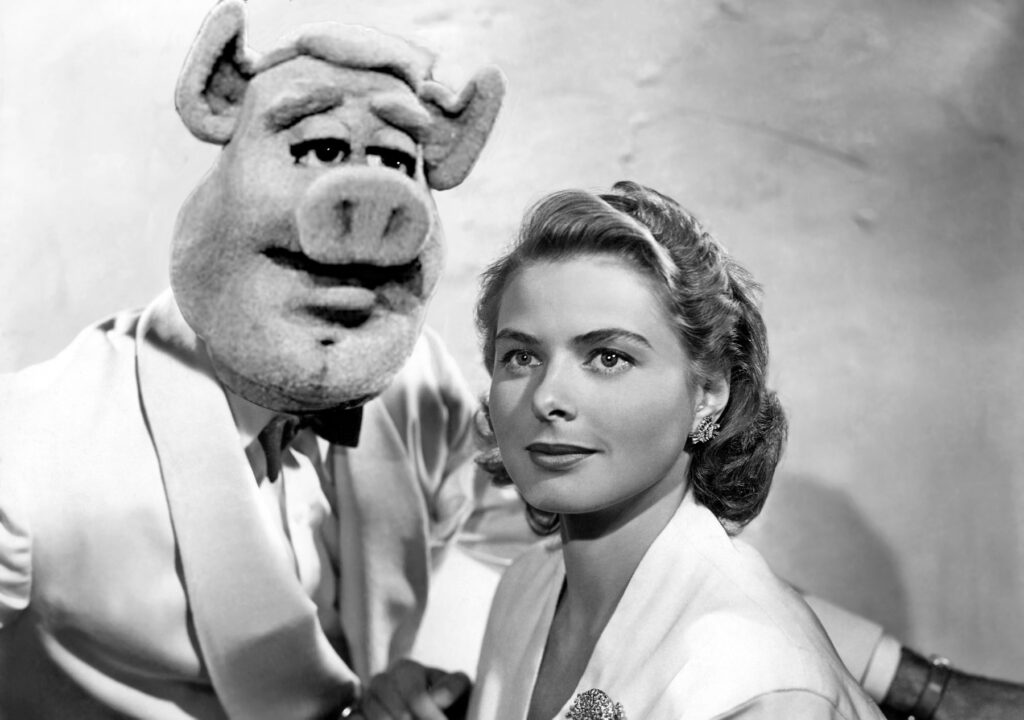Muppet character Black and white photo of Link Hogthrob dressed in a white dinner jacket standing behind Ingrid Bergman.
