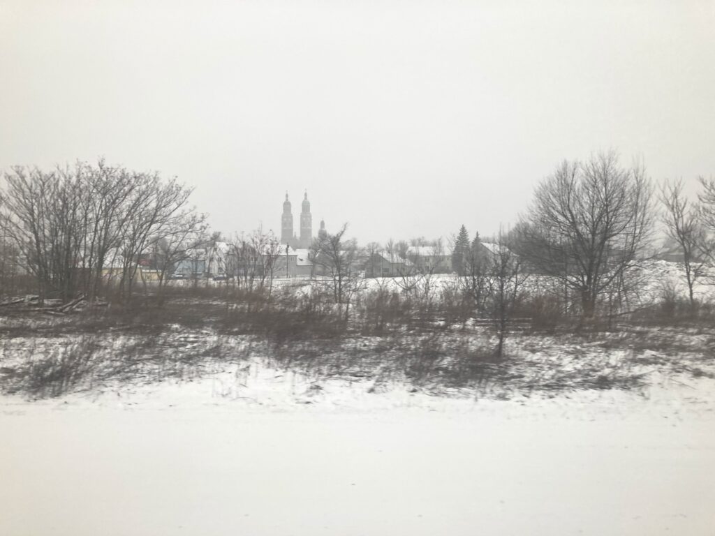 A white sky overhead, trees in the distance partly obscured by snow, a snowy field in the foreground.