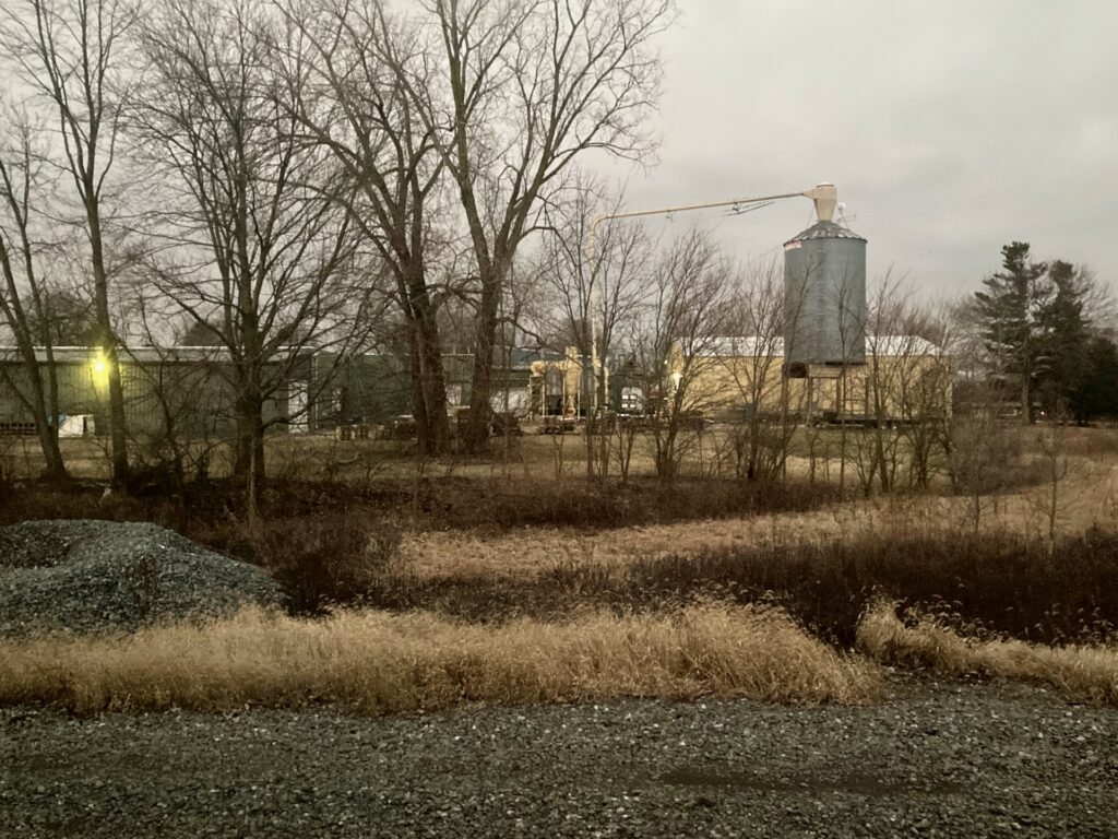 Early morning, a grain tower appears through some trees.