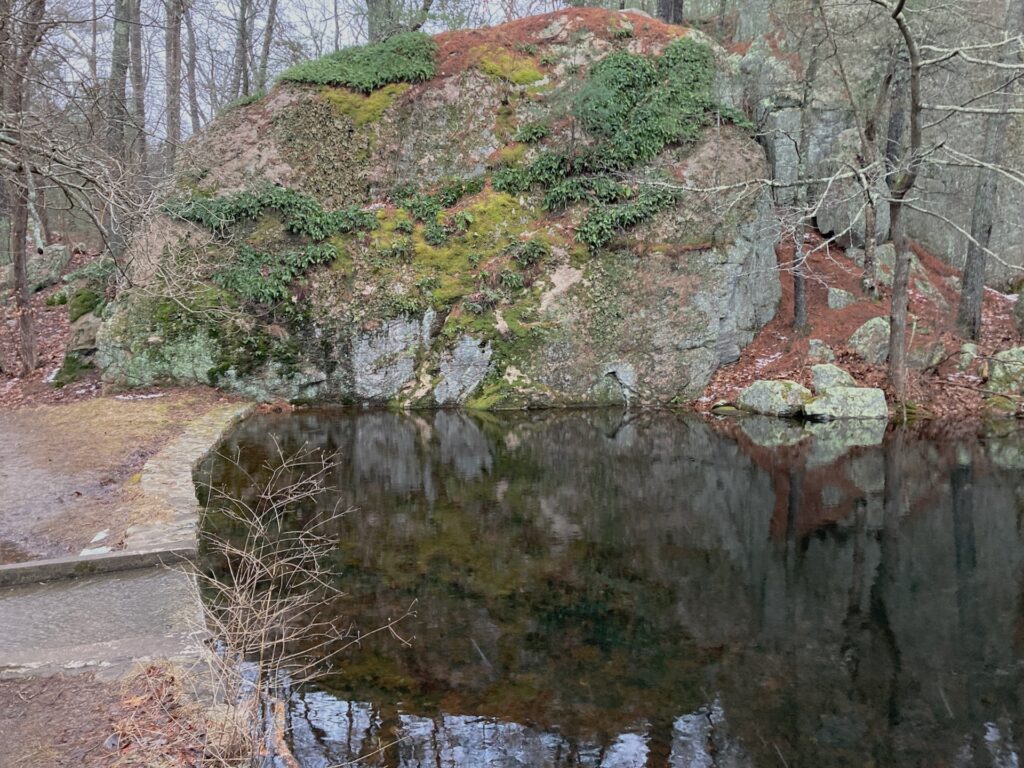 Rock outcropping with plant life clinging to it, reflected in a small artifical pond.