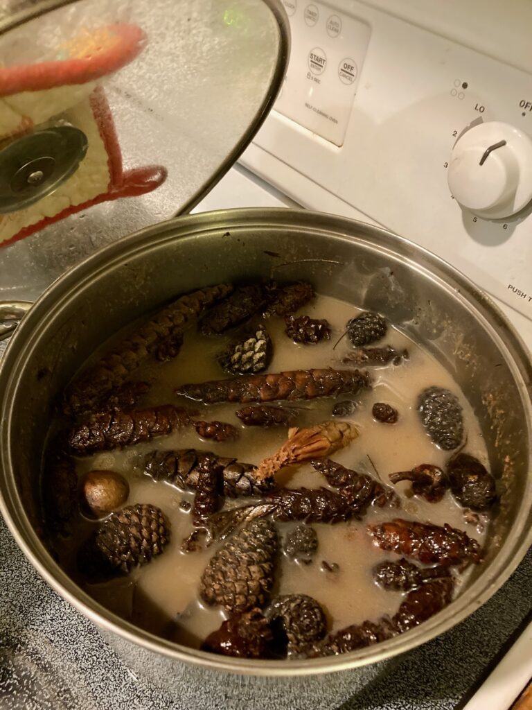 A pot containing pine cones in water, simmering on a stoe top.