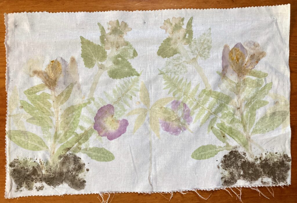 A variety of plants and flowers hammer-dyed on cloth.