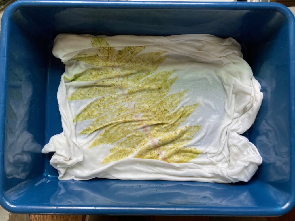 The wet t-shirt in a shallow bath of clear liquid.