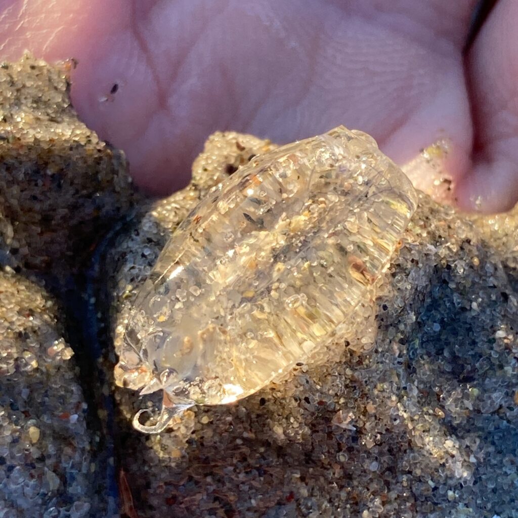 A small jelly-like object held in the palm of my hand.