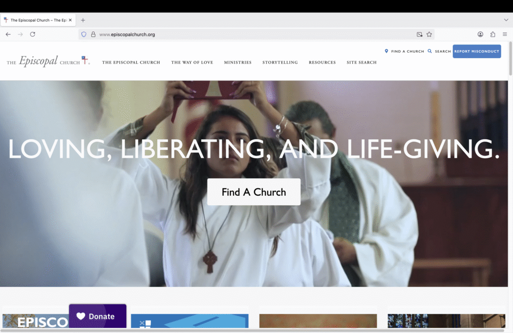 Screen grab of a website