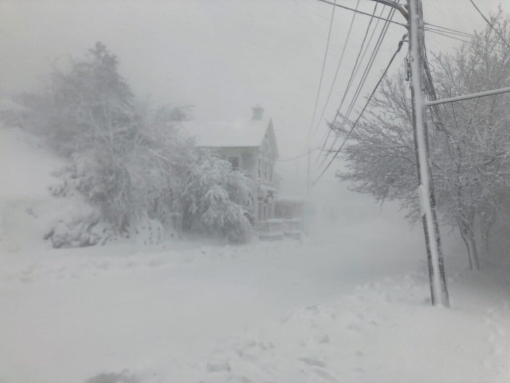Buildings and trees mostly obscured by blowing snow.