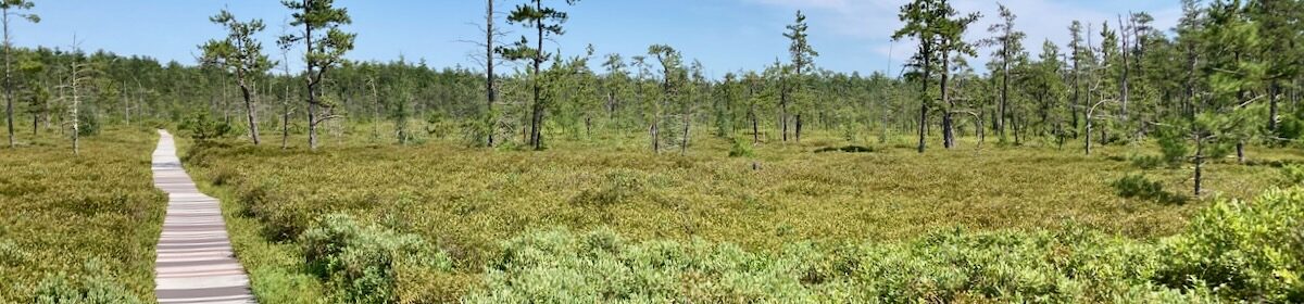 Yet Another Unitarian Universalist