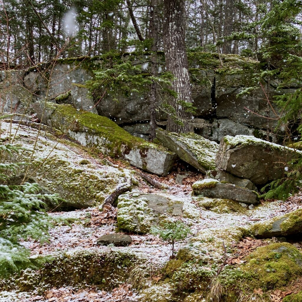 Snow falling on a rocky hillside covered with moss.